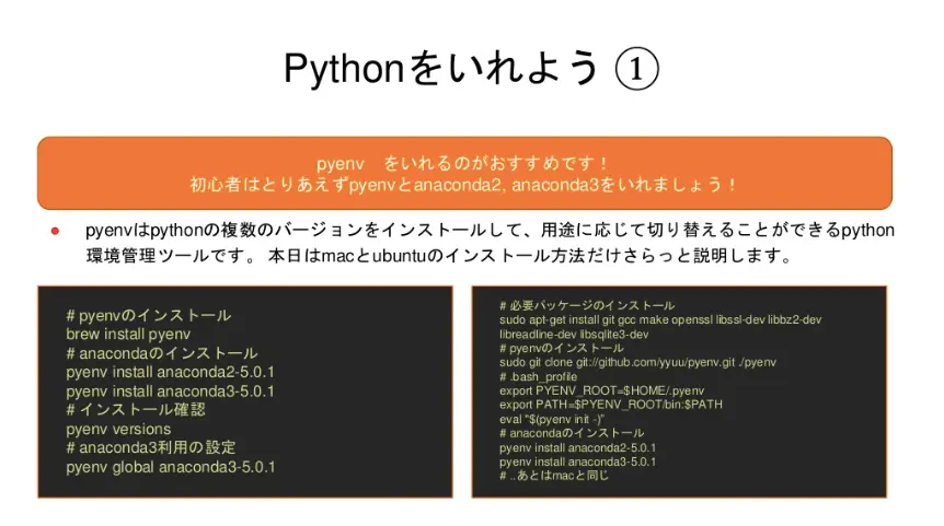 Python